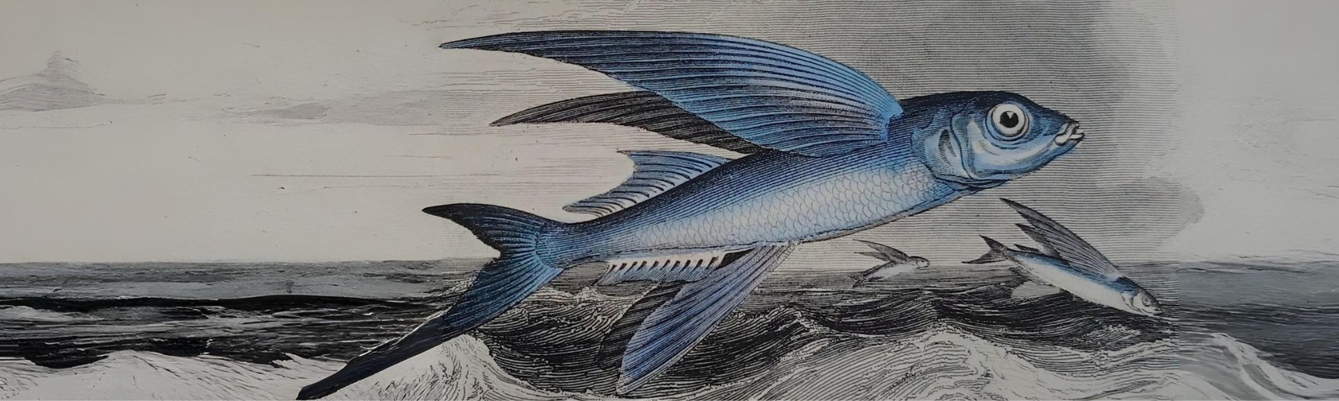 Following the Moon – Pacific Lunar Calendars