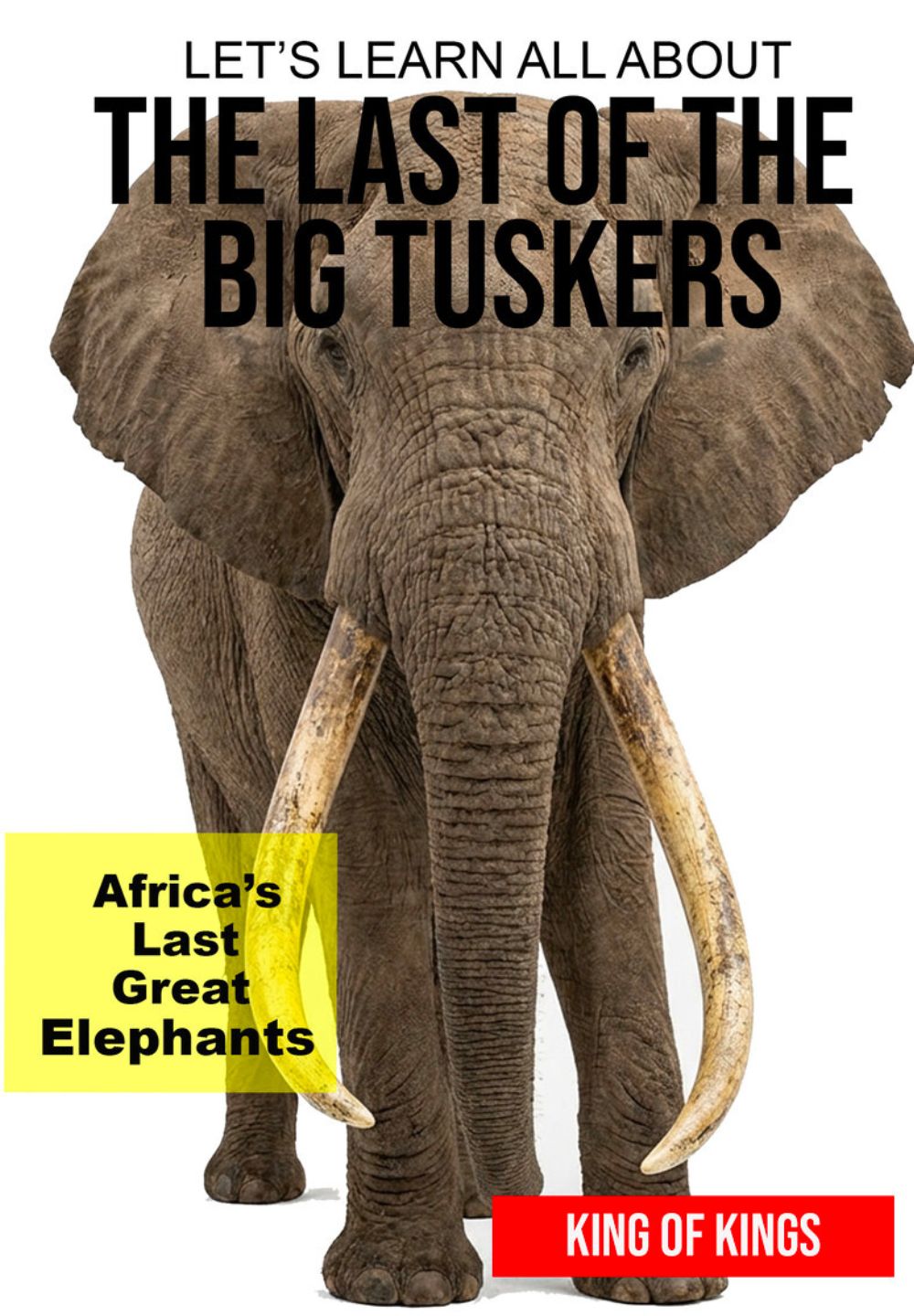 Film Poster