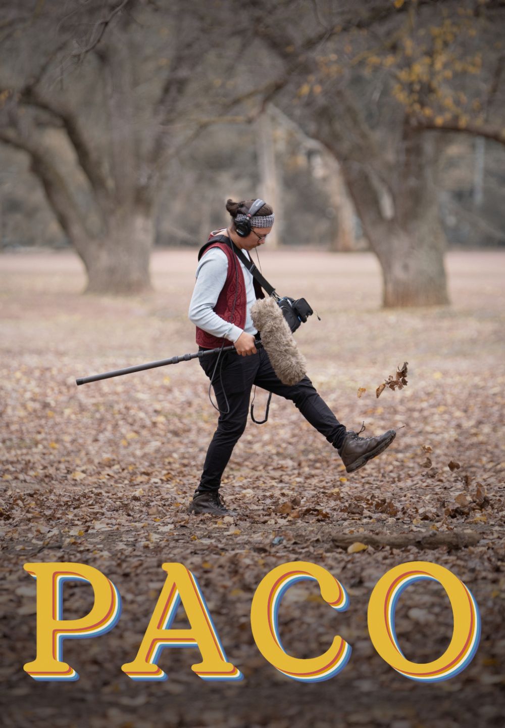 Film Poster